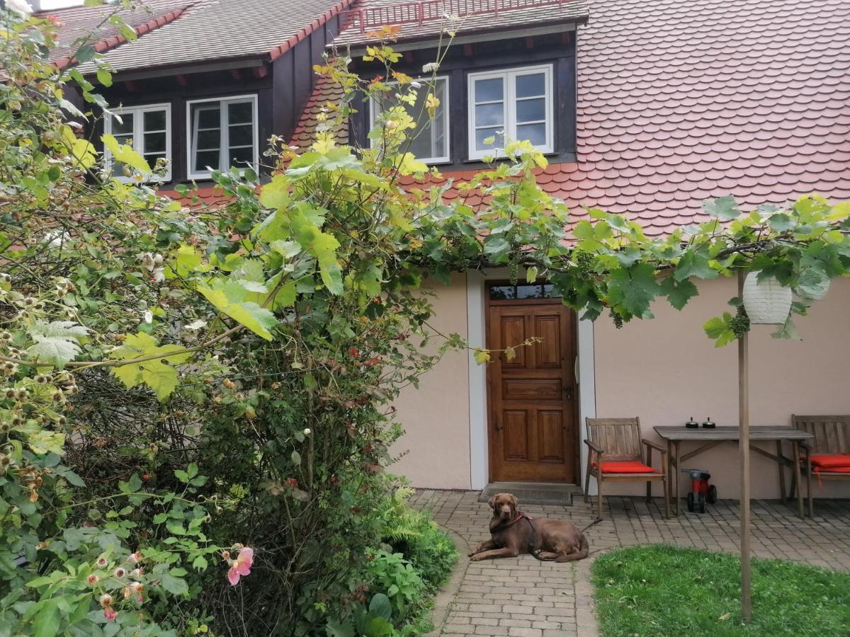 Ferienwohnungen Wastl Fränkische Schweiz Hiltpoltstein Exterior foto